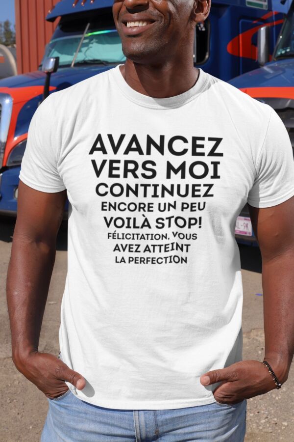 T shirt Vous avez atteint la perfection pour homme