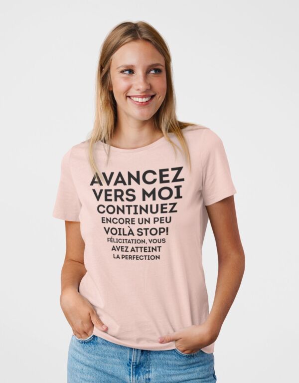 Tee shirt Vous avez atteint la perfection pour femme