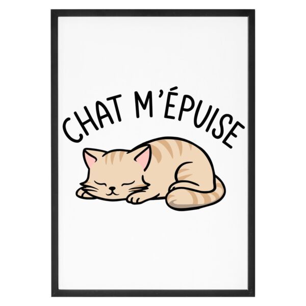 Affiche Chat m'épuise