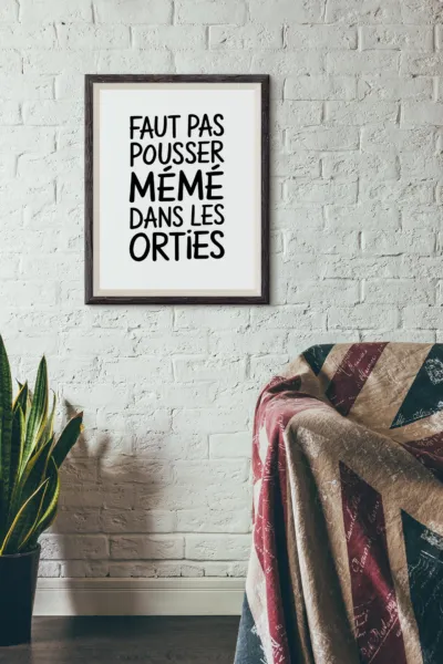Affiche Faut pas pousser mémé